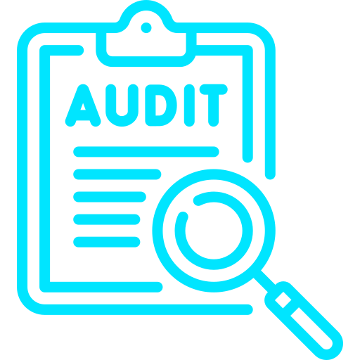 SEO Audit Icon